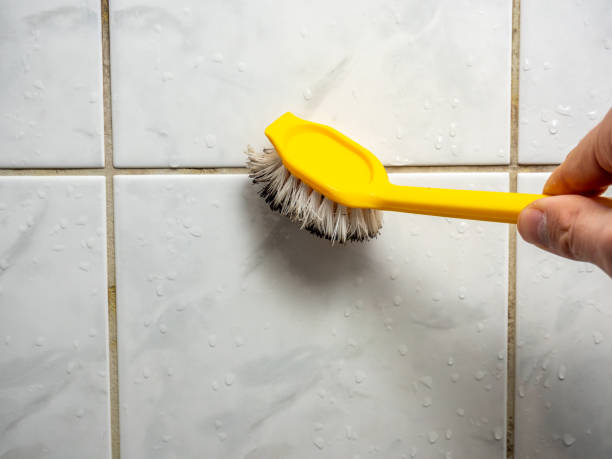 Best Commercial Mold Remediation in Crittenden, KY