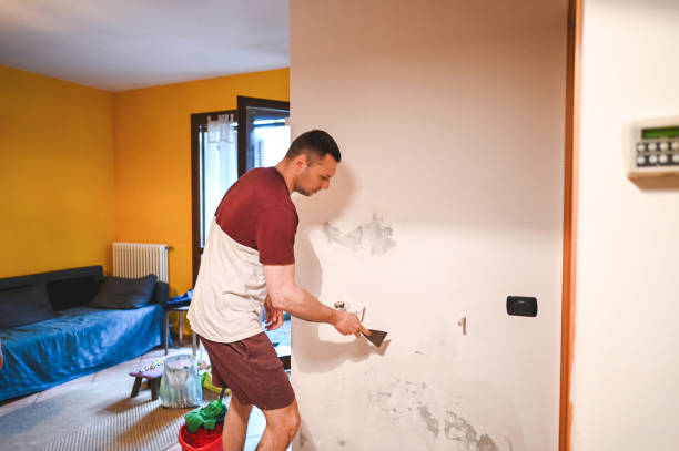 Best Black Mold Remediation in Crittenden, KY